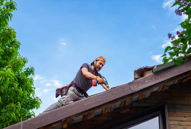 Best Roof Moss and Algae Removal  in Glencoe, IL