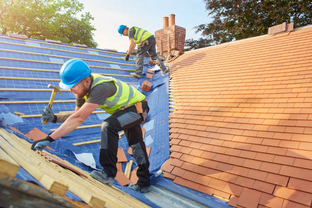 Best Roof Ventilation Installation  in Glencoe, IL